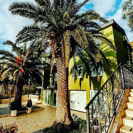 Palm Point Apartment Petrovac ภายนอก รูปภาพ