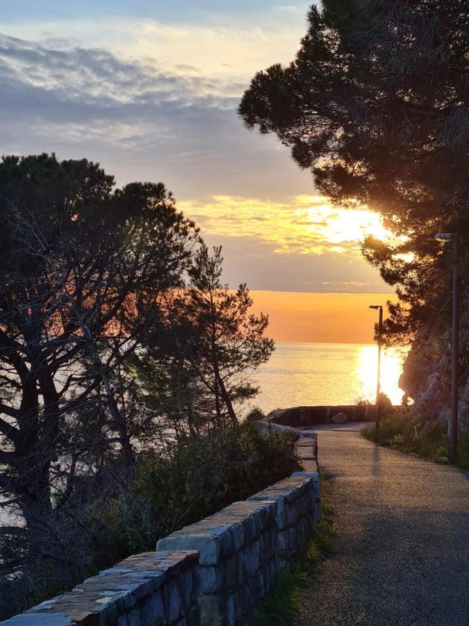 Palm Point Apartment Petrovac ภายนอก รูปภาพ