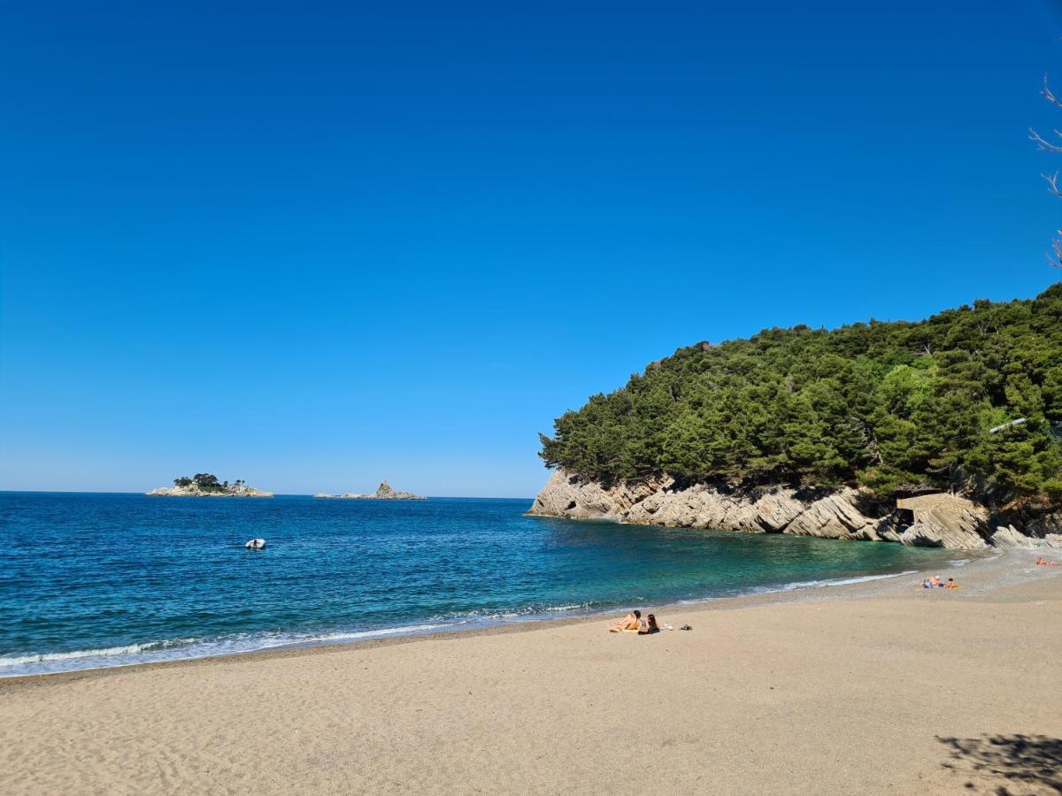 Palm Point Apartment Petrovac ภายนอก รูปภาพ