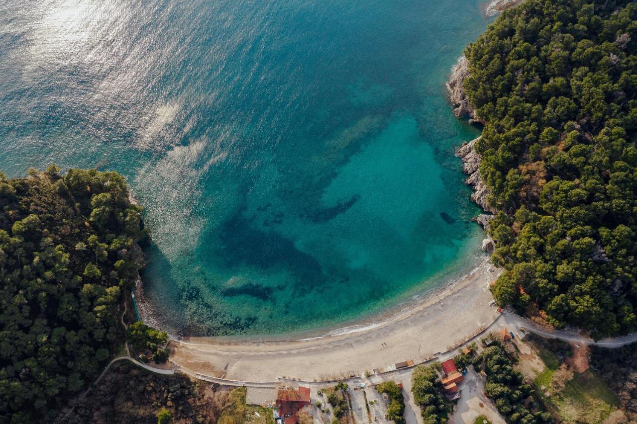 Palm Point Apartment Petrovac ภายนอก รูปภาพ